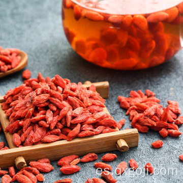 Bayas de goji rojas orgánicas de grado superior para la salud